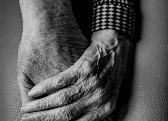 gert-stockmans-n85taMiq0S4-unsplash copy