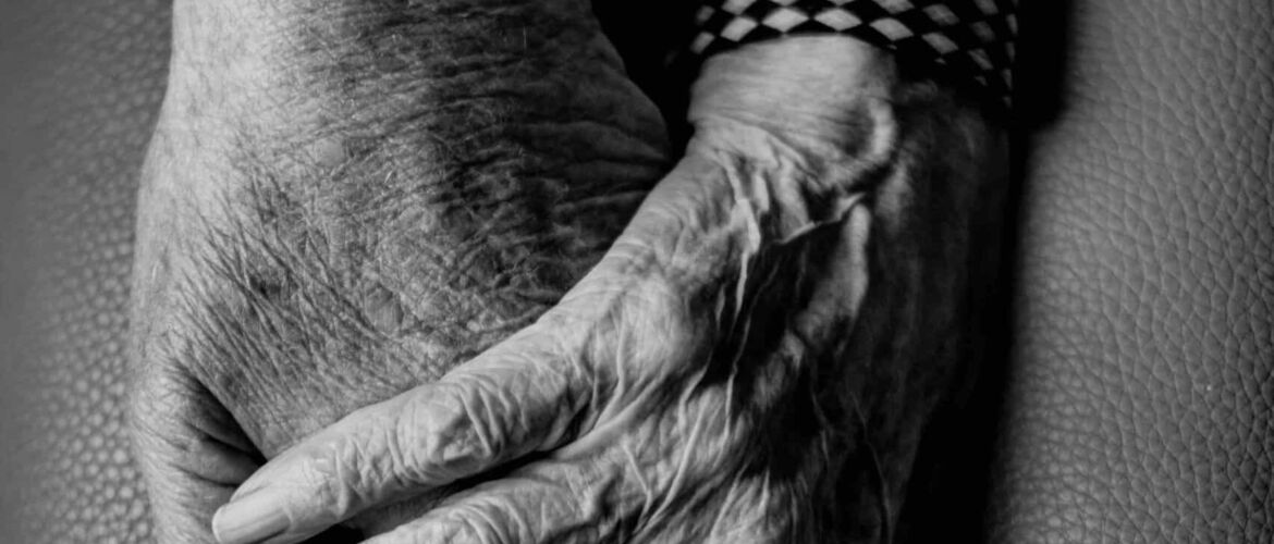 gert-stockmans-n85taMiq0S4-unsplash copy